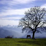 La Montaña Mágica Rural 3* Vibano