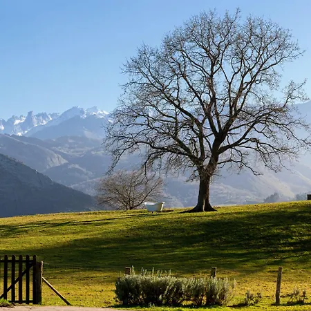 La Montaña Mágica Rural Vibano