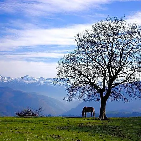 La Montana Magica Rural מלון 3*
