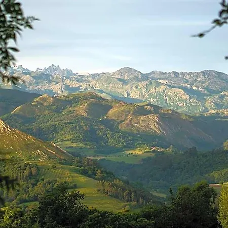 酒店 魔法山乡村旅馆