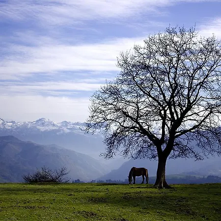 La Montaña Mágica Rural 3* Vibano