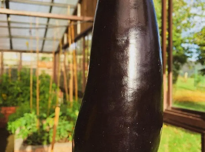 La Montana Magica Rural Hotel