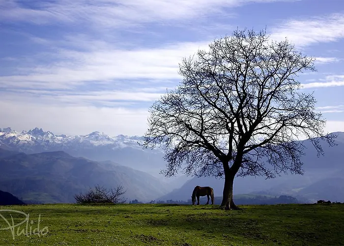 La Montana Magica Rural 3* Vibano