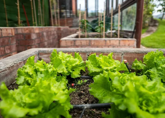Hotel La Montana Magica Rural Vibano