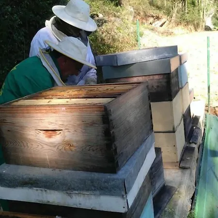 La Montana Magica Rural 3*