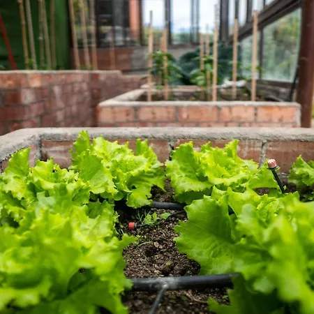 호텔 La Montana Magica Rural Vibano