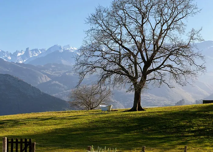La Montaña Mágica Rural Vibano