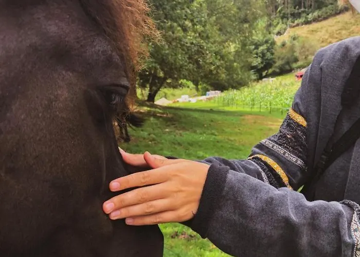 La Montaña Mágica Rural Hotel Vibano