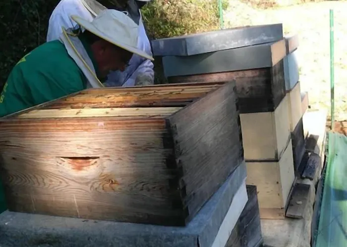 La Montaña Mágica Rural 3*