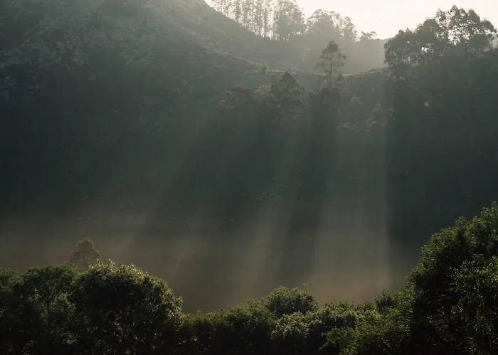 La Montaña Mágica Rural 3* Vibano